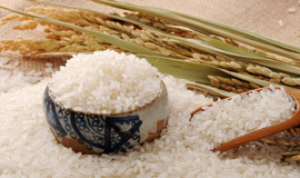 米面類檢測(cè)